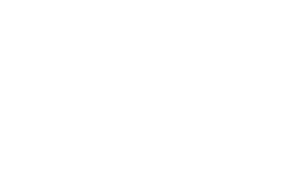 Logo 2Cargo Xpress blanco